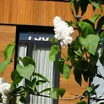 Studio-apartment in city-center